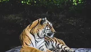 Le zoo de la Boissière