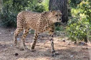 Le zoo du Lunaret à Montpellier