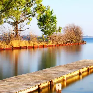 Découvrir les Landes